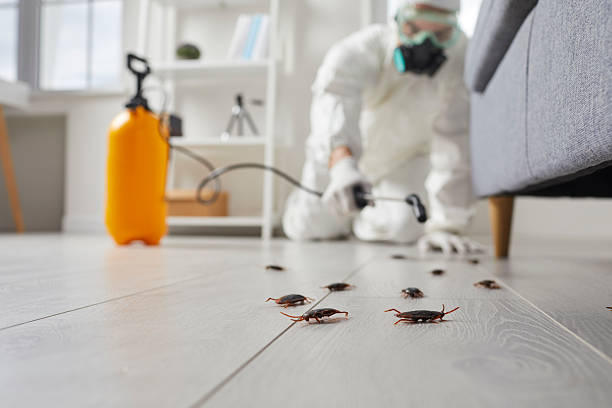 Trusted Cockroach Control service in Tropical Park, FL - Nex Pest Control