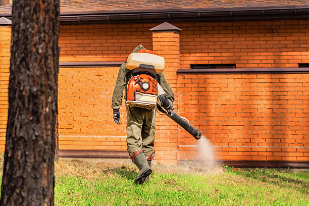 Trusted Fumigation Services service in Tropical Park, FL - Nex Pest Control